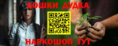 хмурый Бийск