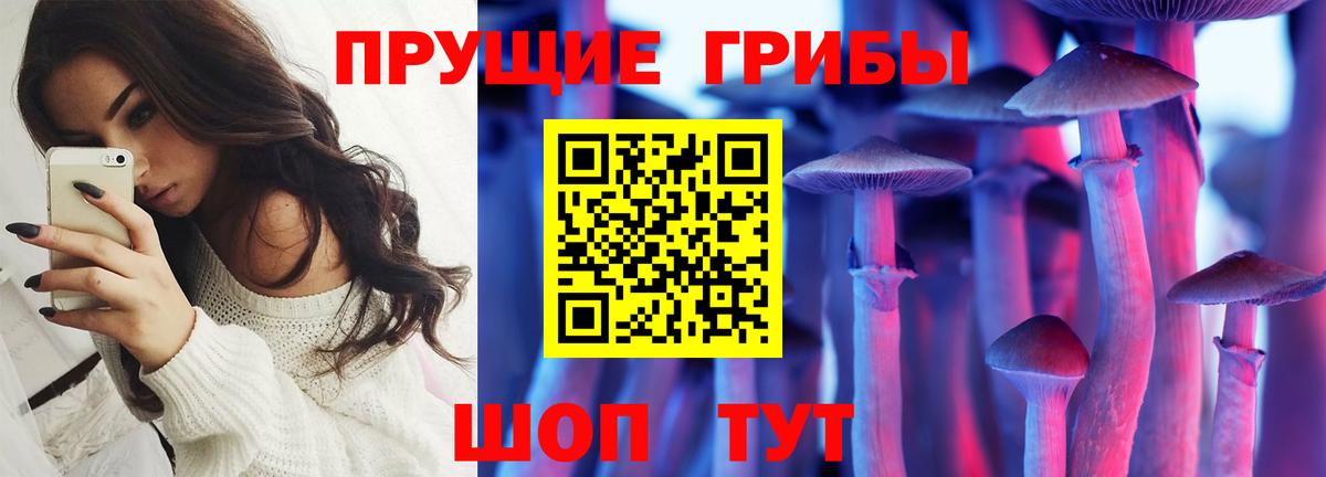 Кирово-Чепецк  Псилоцибиновые грибы ЛСД  Вход с VPN  Псилоцибиновые грибы ЛСД 